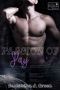 [Passion of Pay 03] • Scott & Lane · Books of Passion 03